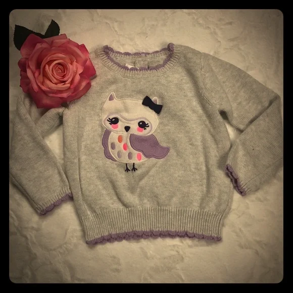 Gymboree Gray Owl Sweater size 2T - Picture 3 of 9